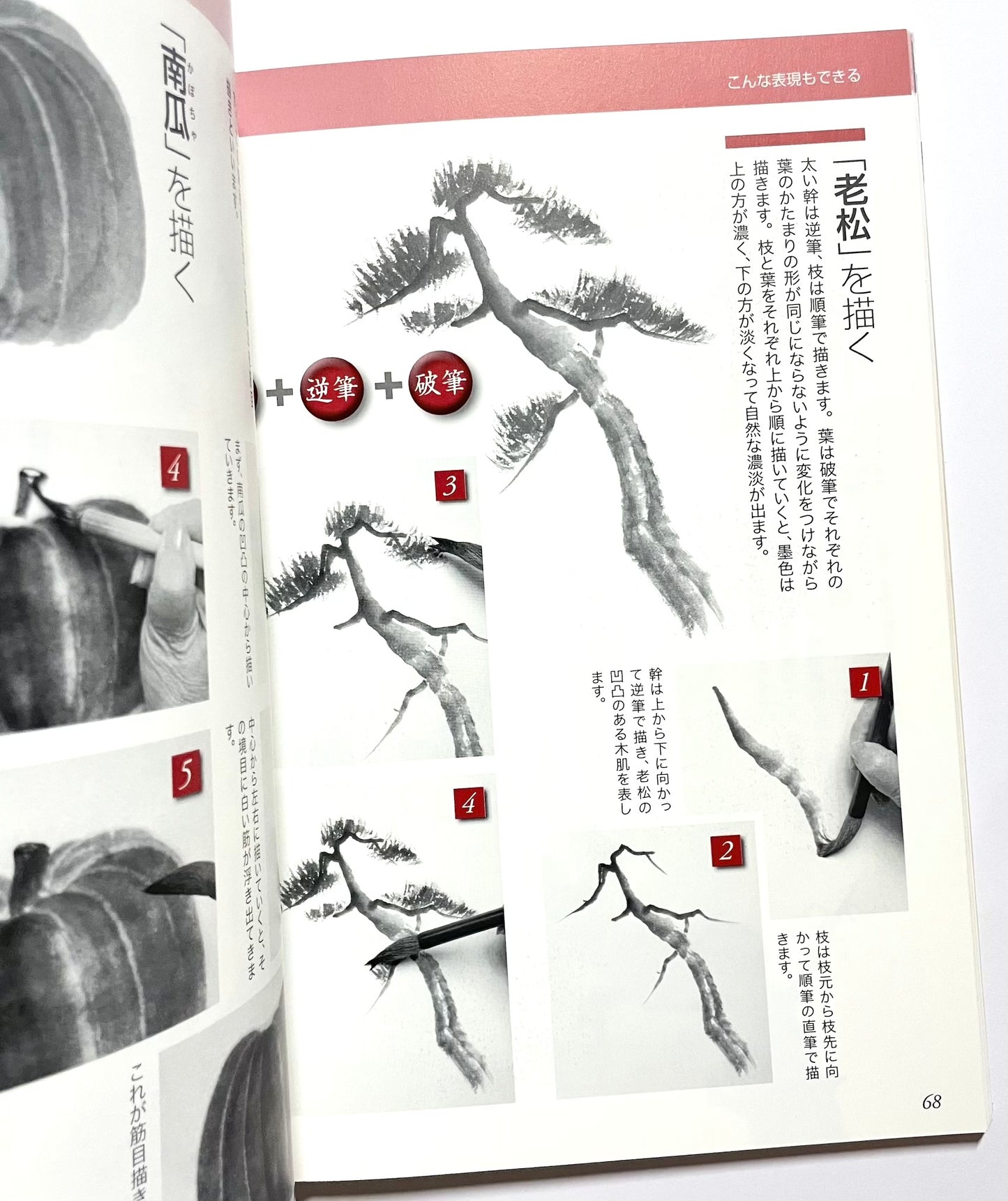 基本が身につく　初歩からの水墨画 ― 手に取るようにわかる徹底レッスン （新装版）