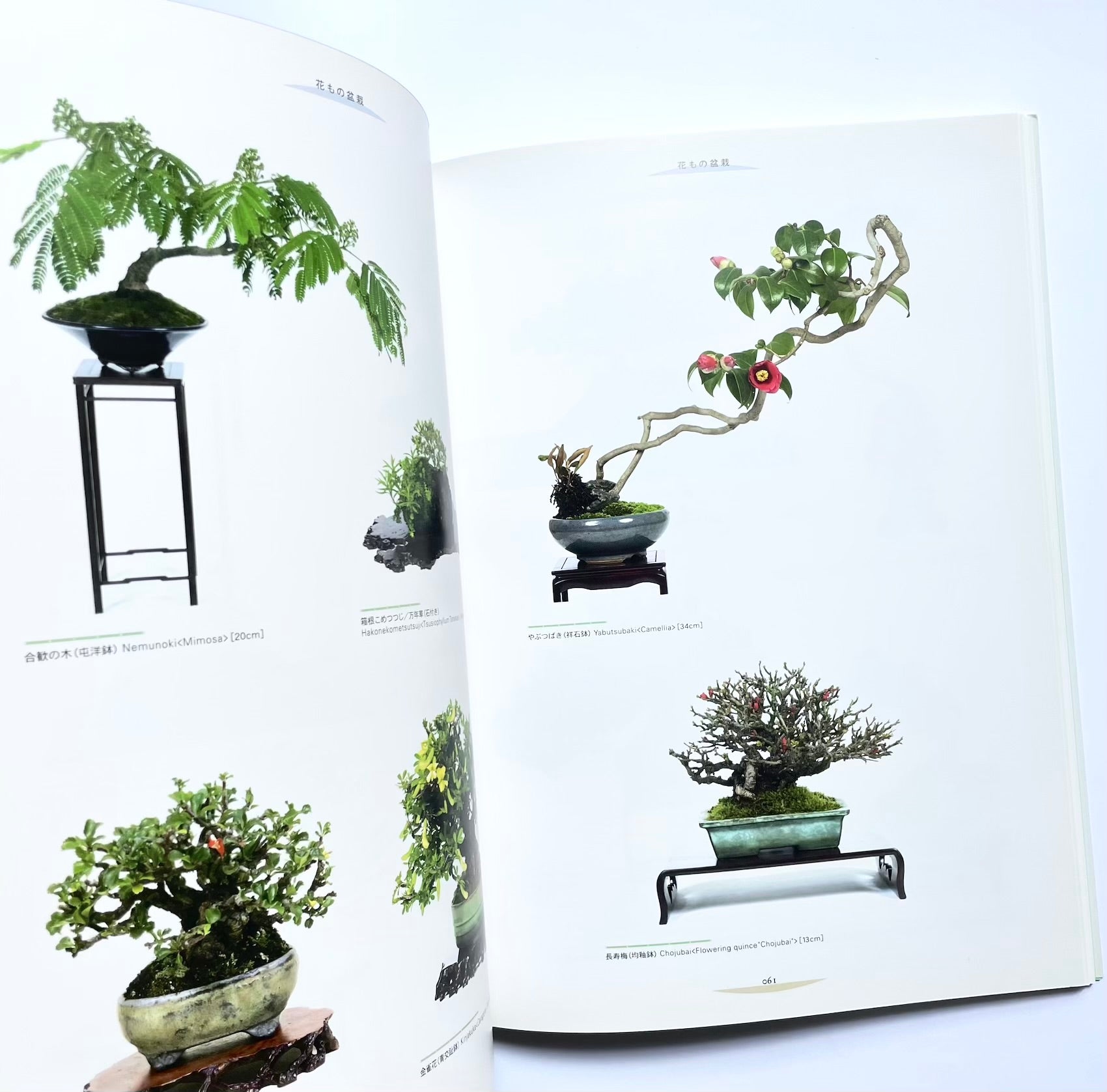 Art & Fashion – Tsubaki japanese bookstore