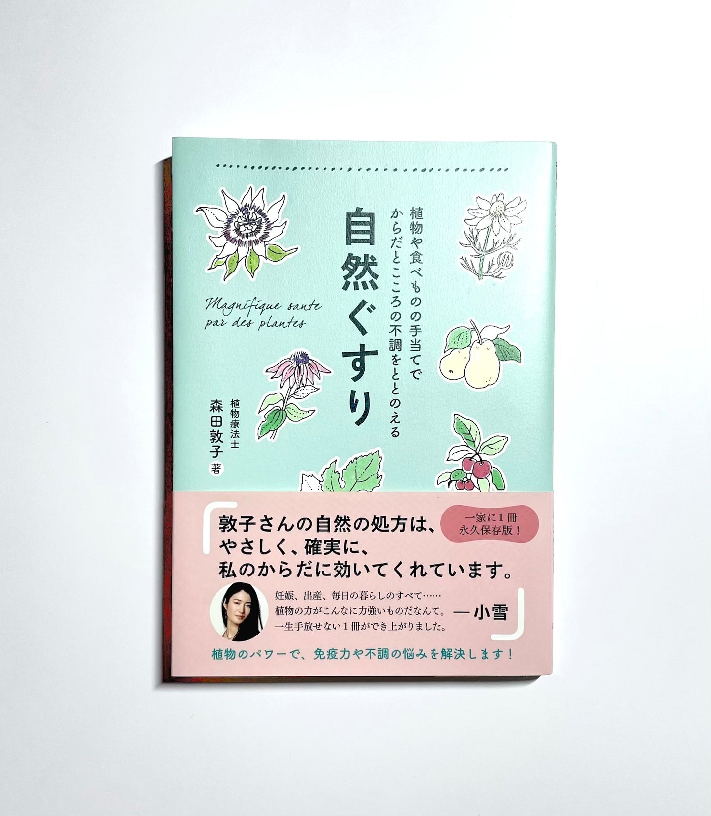 自然ぐすり - 植物や食べものの手当てでからだとこころの不調をととのえる  (正しく暮らすシリーズ)