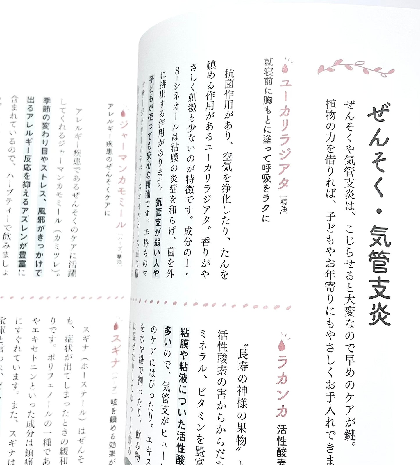 自然ぐすり - 植物や食べものの手当てでからだとこころの不調をととのえる  (正しく暮らすシリーズ)