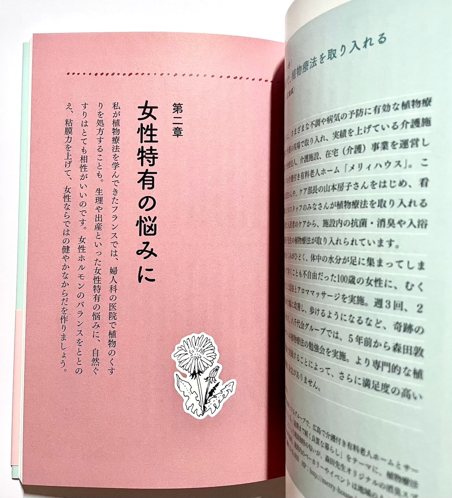 自然ぐすり - 植物や食べものの手当てでからだとこころの不調をととのえる  (正しく暮らすシリーズ)