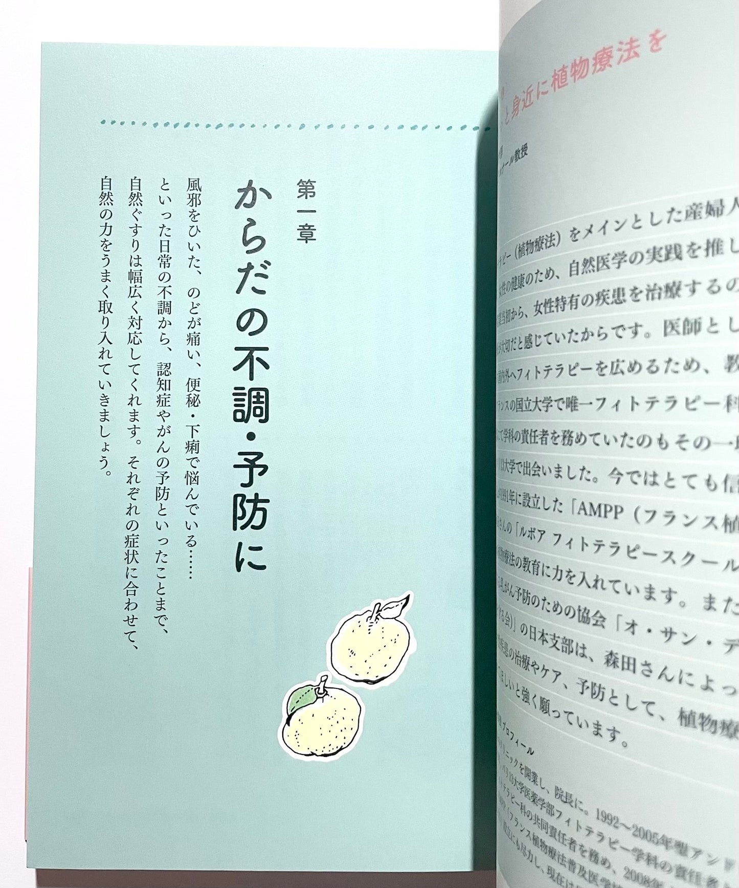 自然ぐすり - 植物や食べものの手当てでからだとこころの不調をととのえる  (正しく暮らすシリーズ)