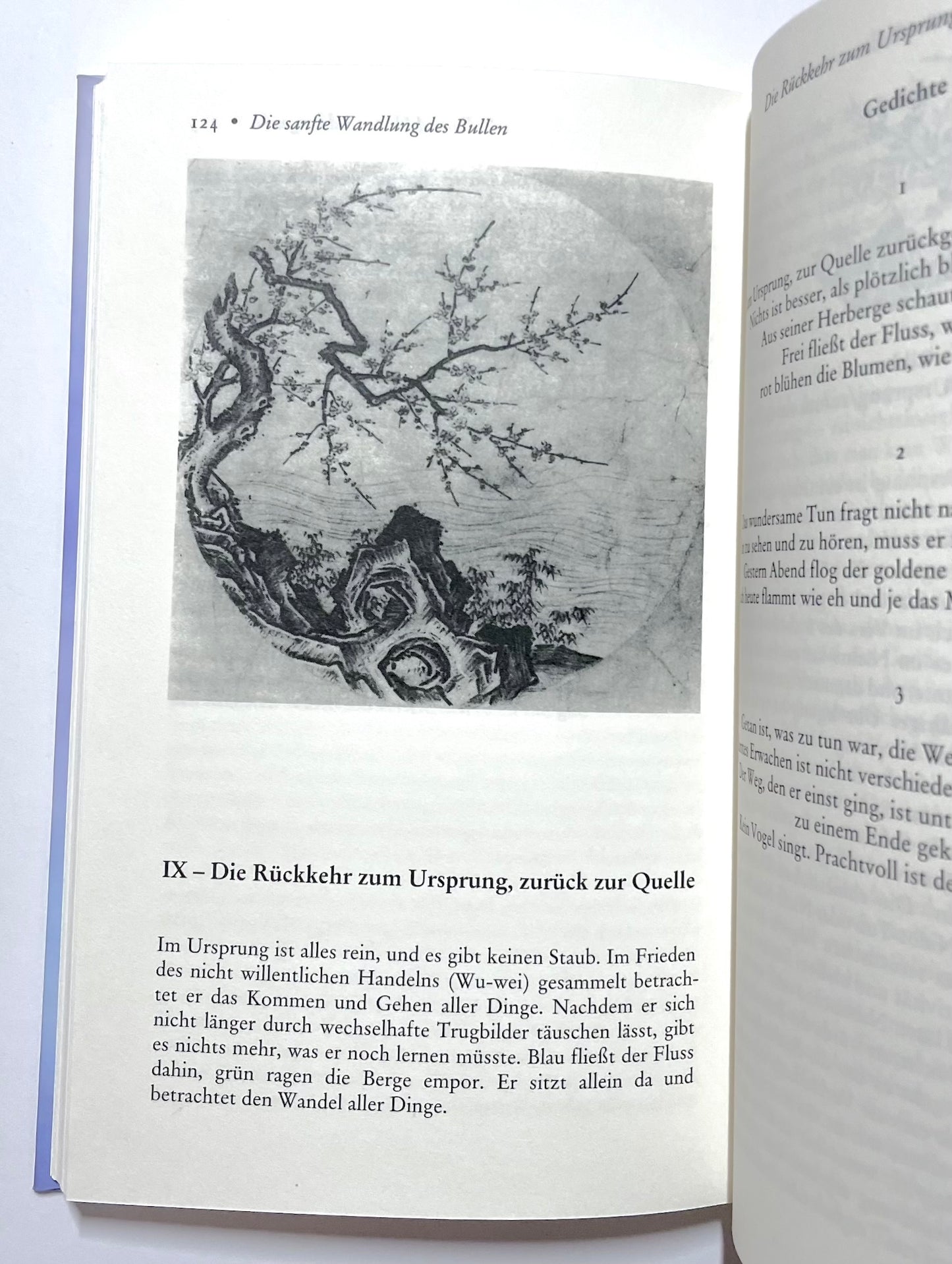 Die sanfte Wandlung des Bullen: Die zehn Bullenbilder - Eine spirituelle Reise