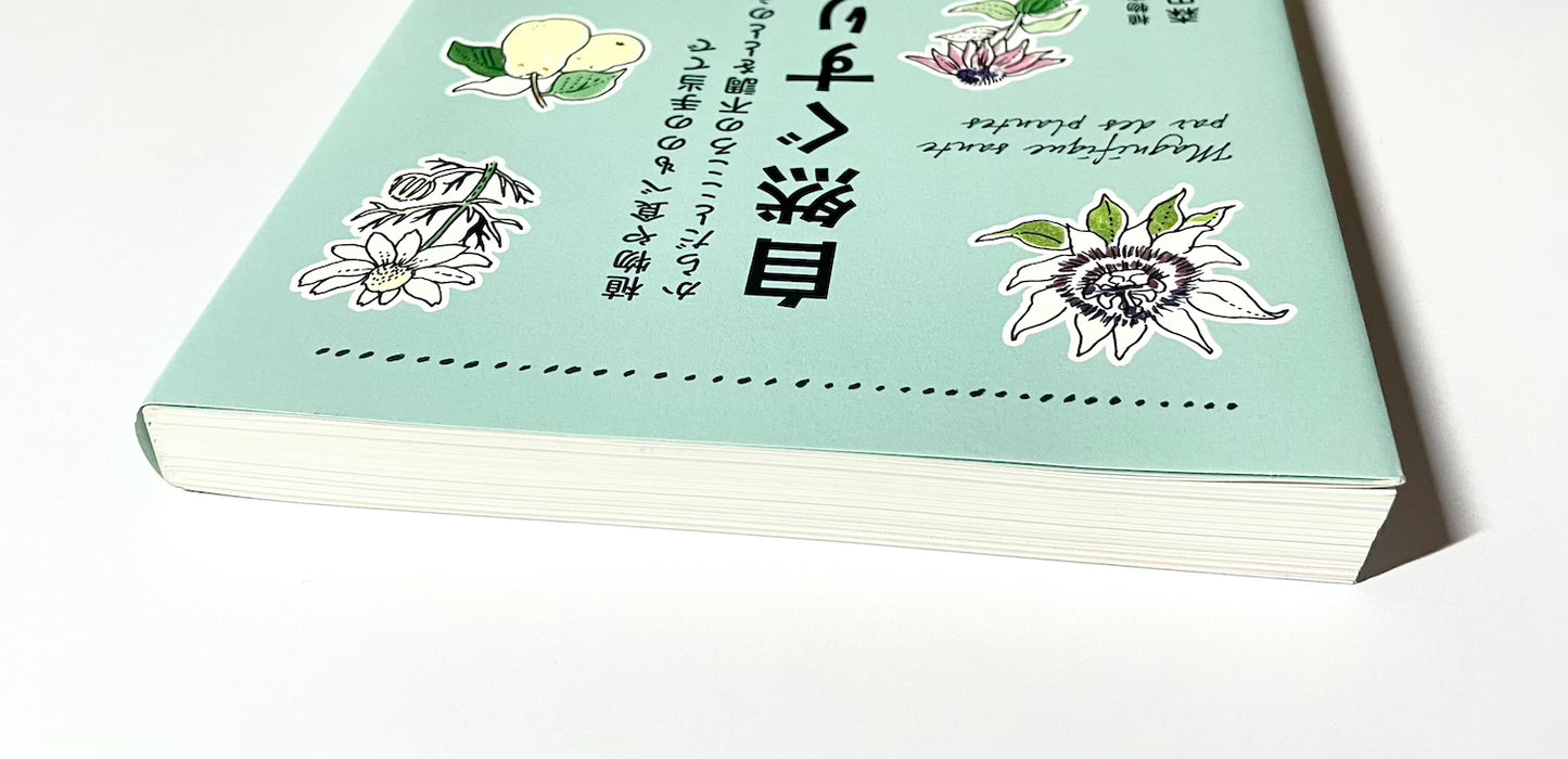 自然ぐすり - 植物や食べものの手当てでからだとこころの不調をととのえる  (正しく暮らすシリーズ)