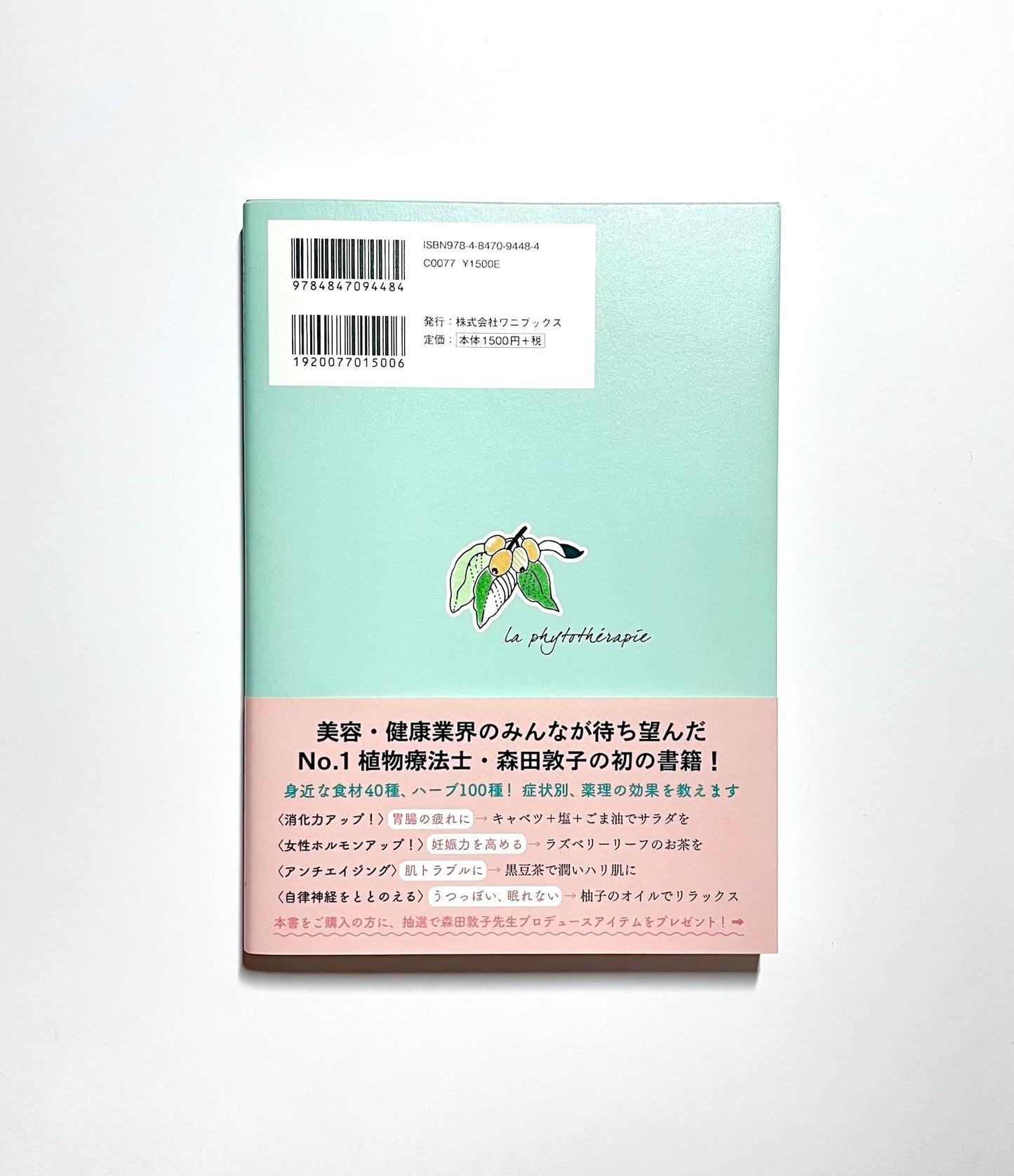 自然ぐすり - 植物や食べものの手当てでからだとこころの不調をととのえる  (正しく暮らすシリーズ)