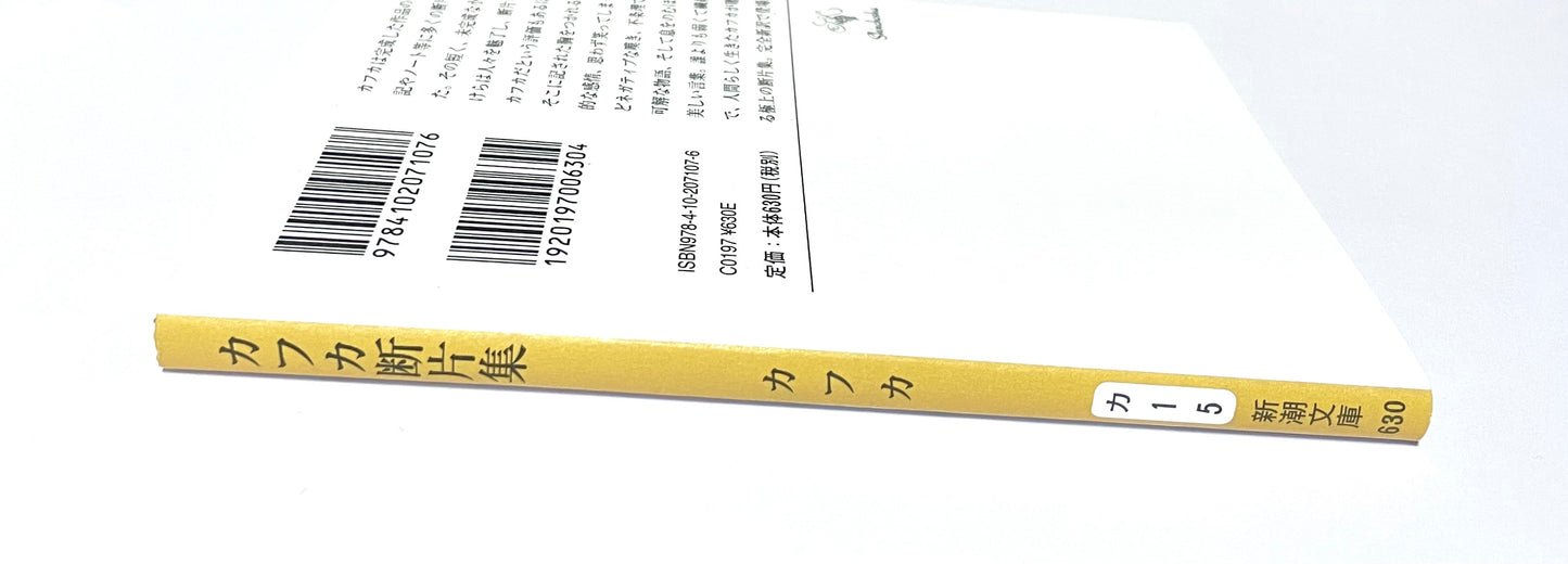 カフカ断片集：海辺の貝殻のようにうつろで、ひと足でふみつぶされそうだ
