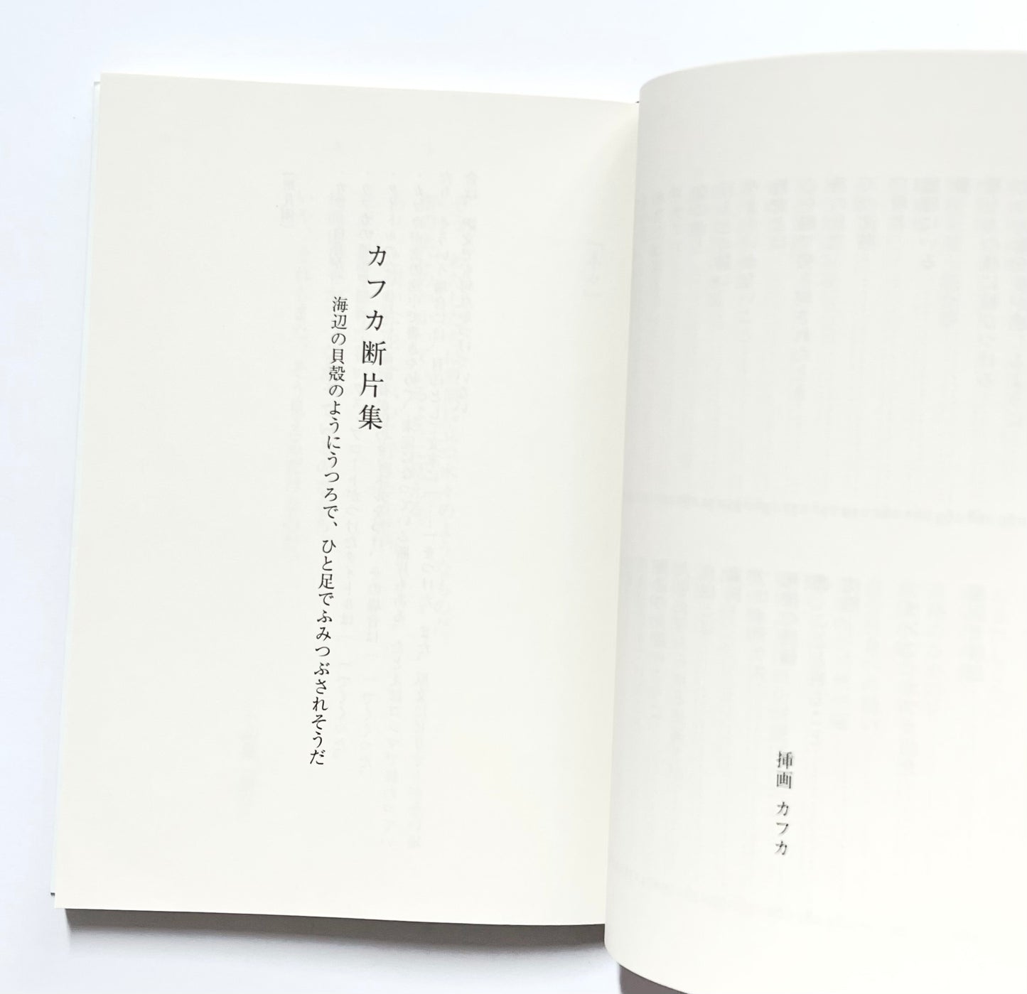 カフカ断片集：海辺の貝殻のようにうつろで、ひと足でふみつぶされそうだ