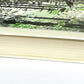 幸田文 ちくま日本文学全集051 / Aya Koda - Chikuma Japanese Literature Collection 051