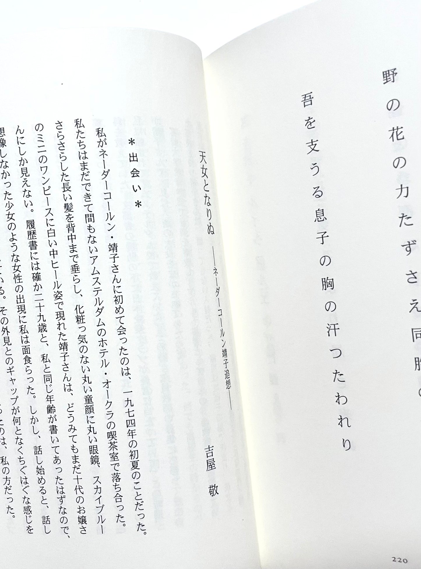オランダはみどり