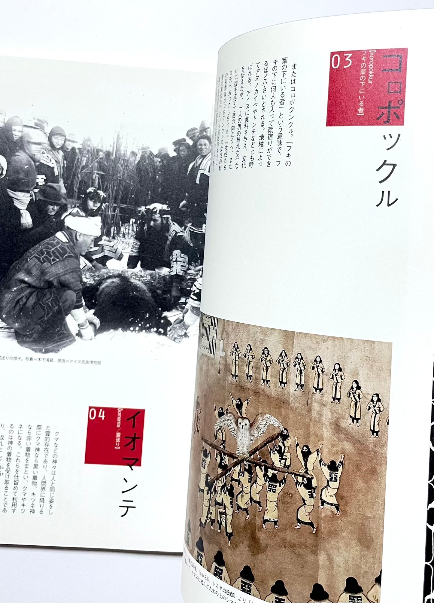 アイヌの世界を旅する (別冊太陽 太陽の地図帖 28) – A Journey through the Ainu World with Photos and Maps