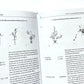 Bildwörterbuch zur Einführung in die japanische Kultur: Traditionelle Theaterkünste, Zen und die Künste, Postwesen, Verkehrsmittel und Handel