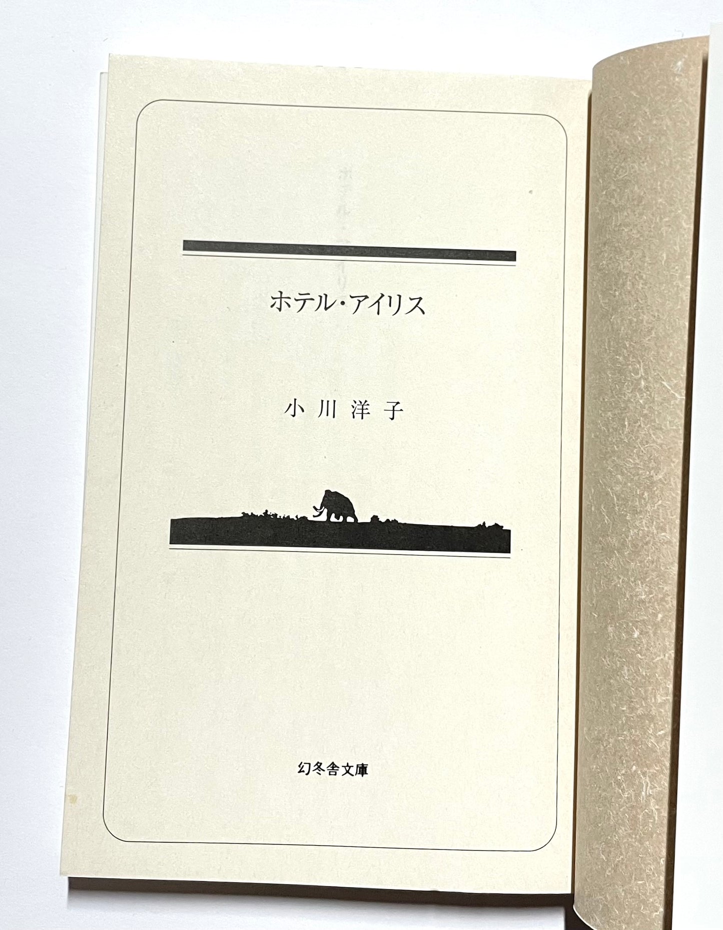 ホテル アイリス