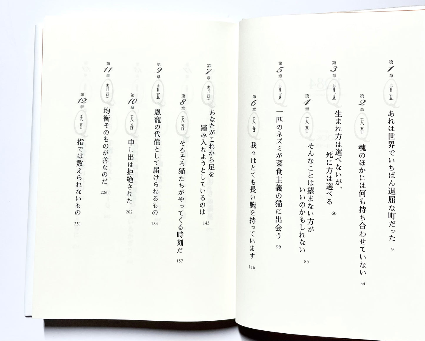 1Q84 BOOK 1 & 2 / Haruki Murakami – Japanese Edition