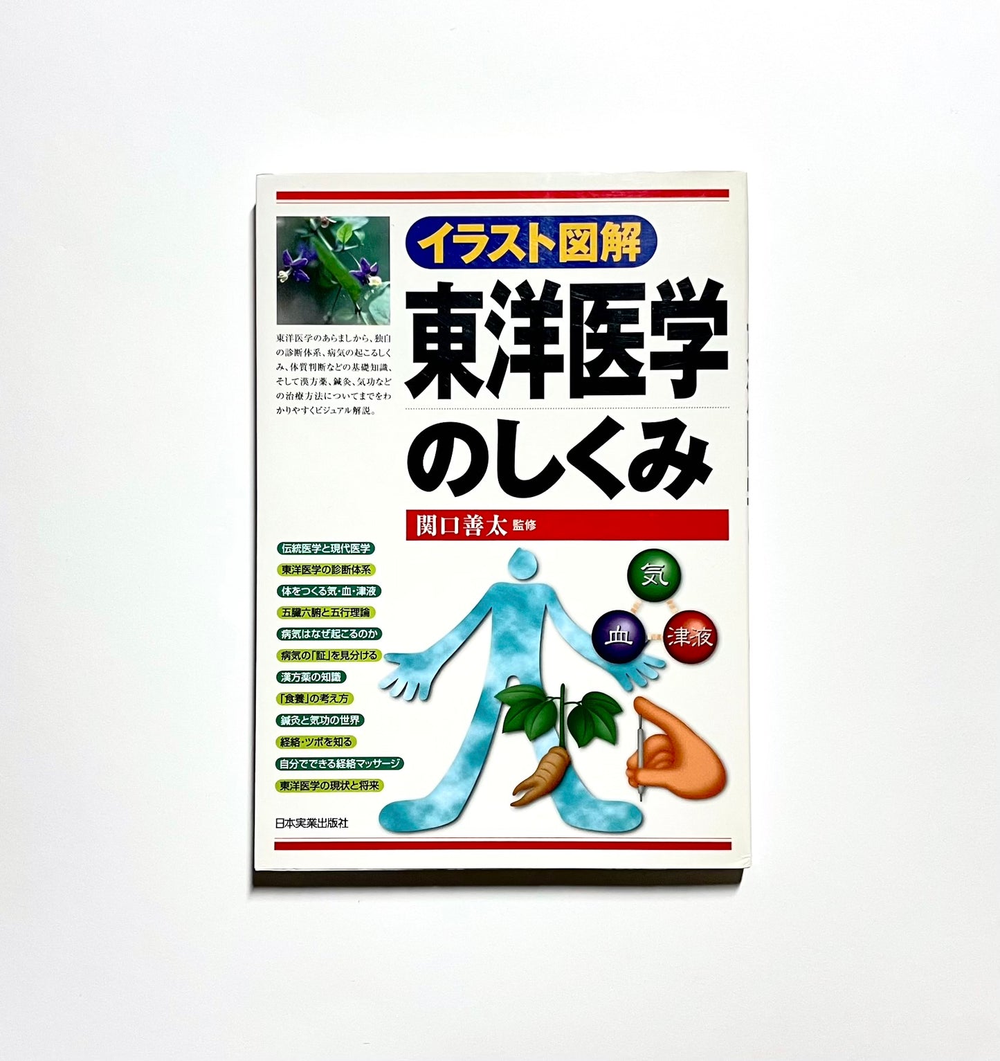 <イラスト図解> 東洋医学のしくみ