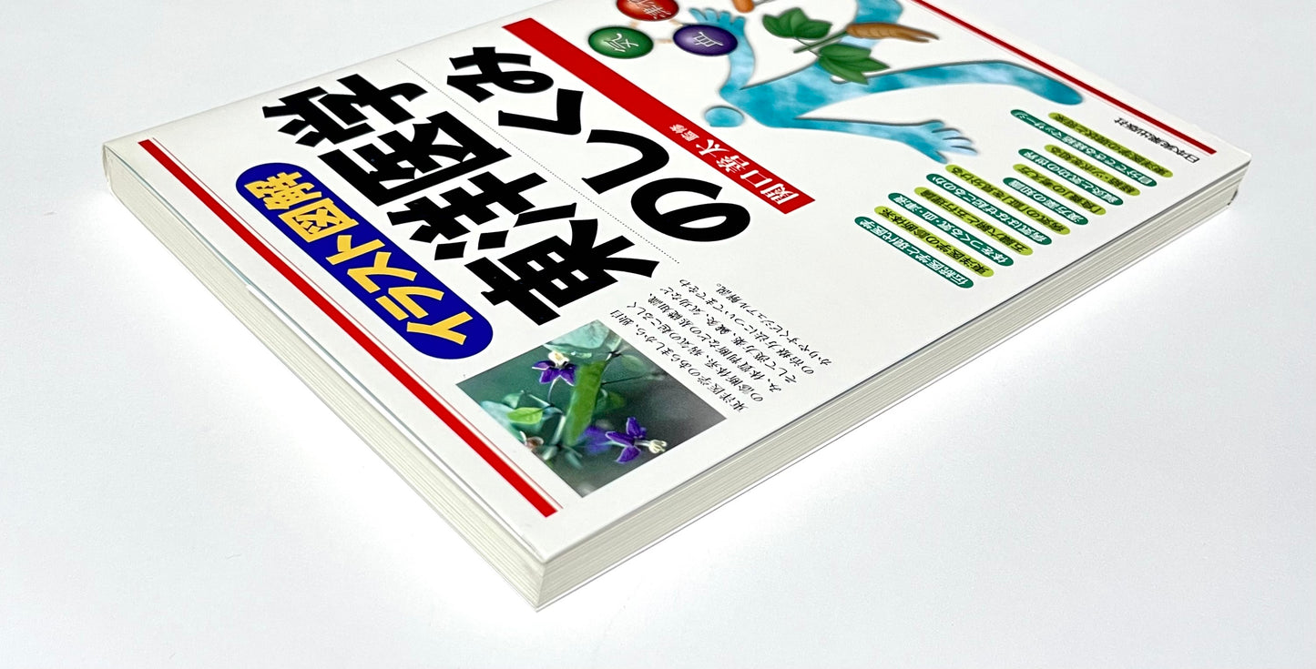 <イラスト図解> 東洋医学のしくみ