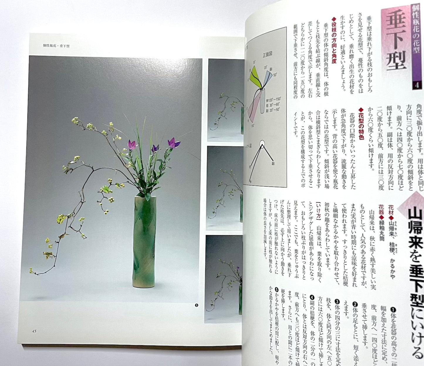 新編 未生流いけばな教本 (Misho School Ikebana Guide)
