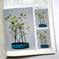 新編 未生流いけばな教本 (Misho School Ikebana Guide)