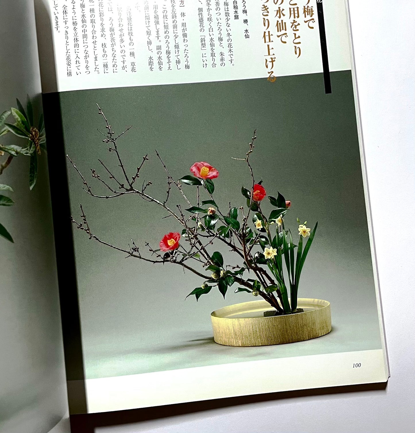 新編 未生流いけばな教本 (Misho School Ikebana Guide)
