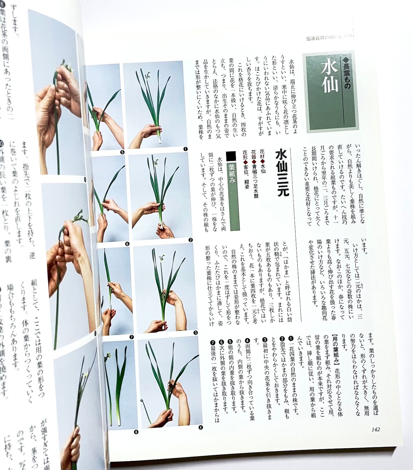 新編 未生流いけばな教本 (Misho School Ikebana Guide)