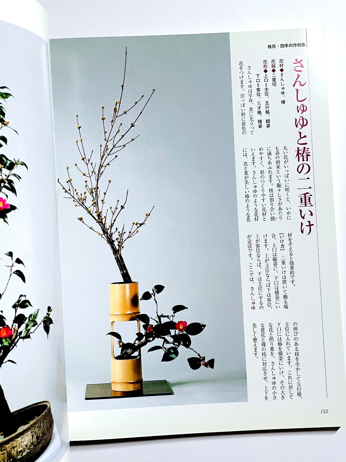 新編 未生流いけばな教本 (Misho School Ikebana Guide)