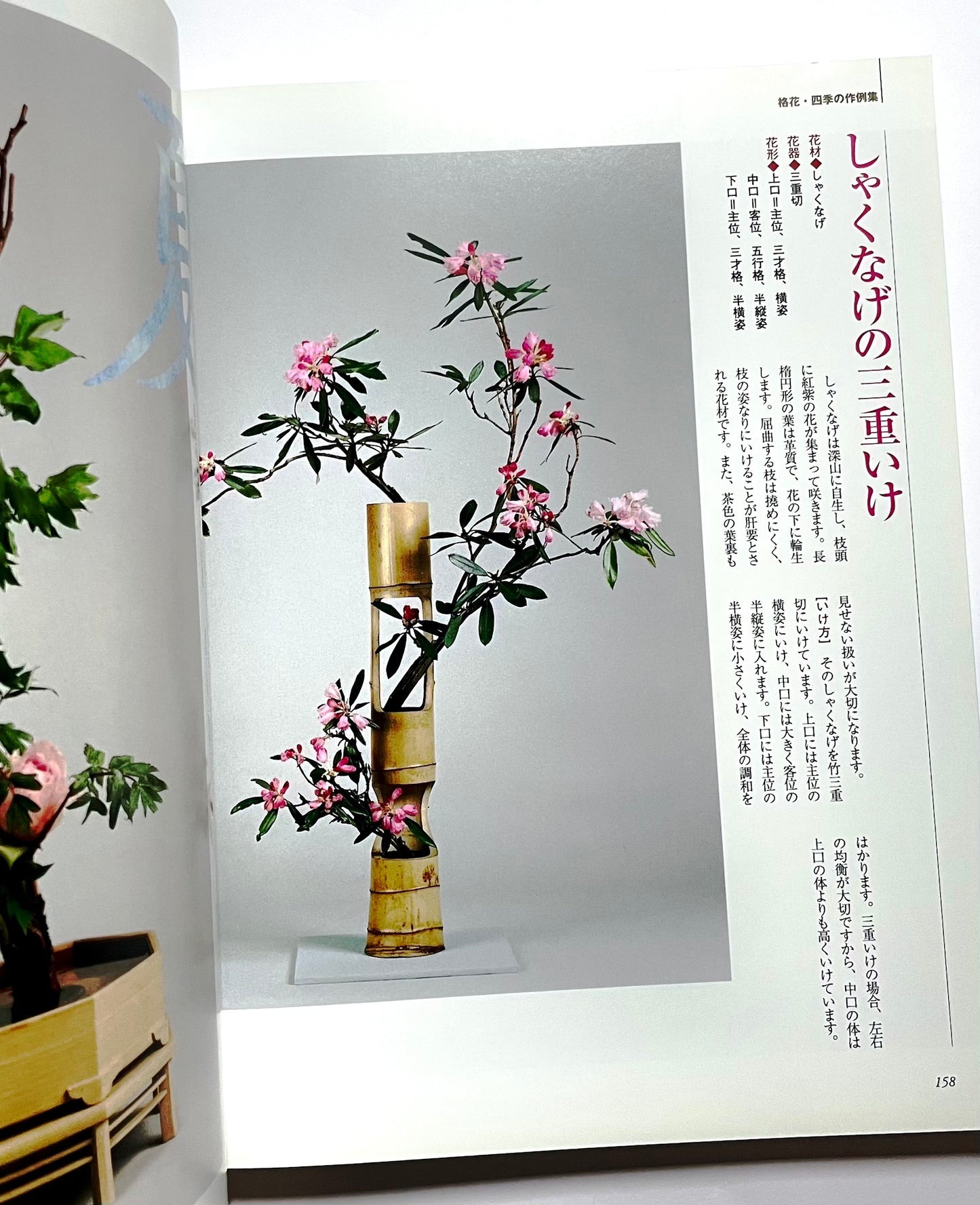 新編 未生流いけばな教本 (Misho School Ikebana Guide)