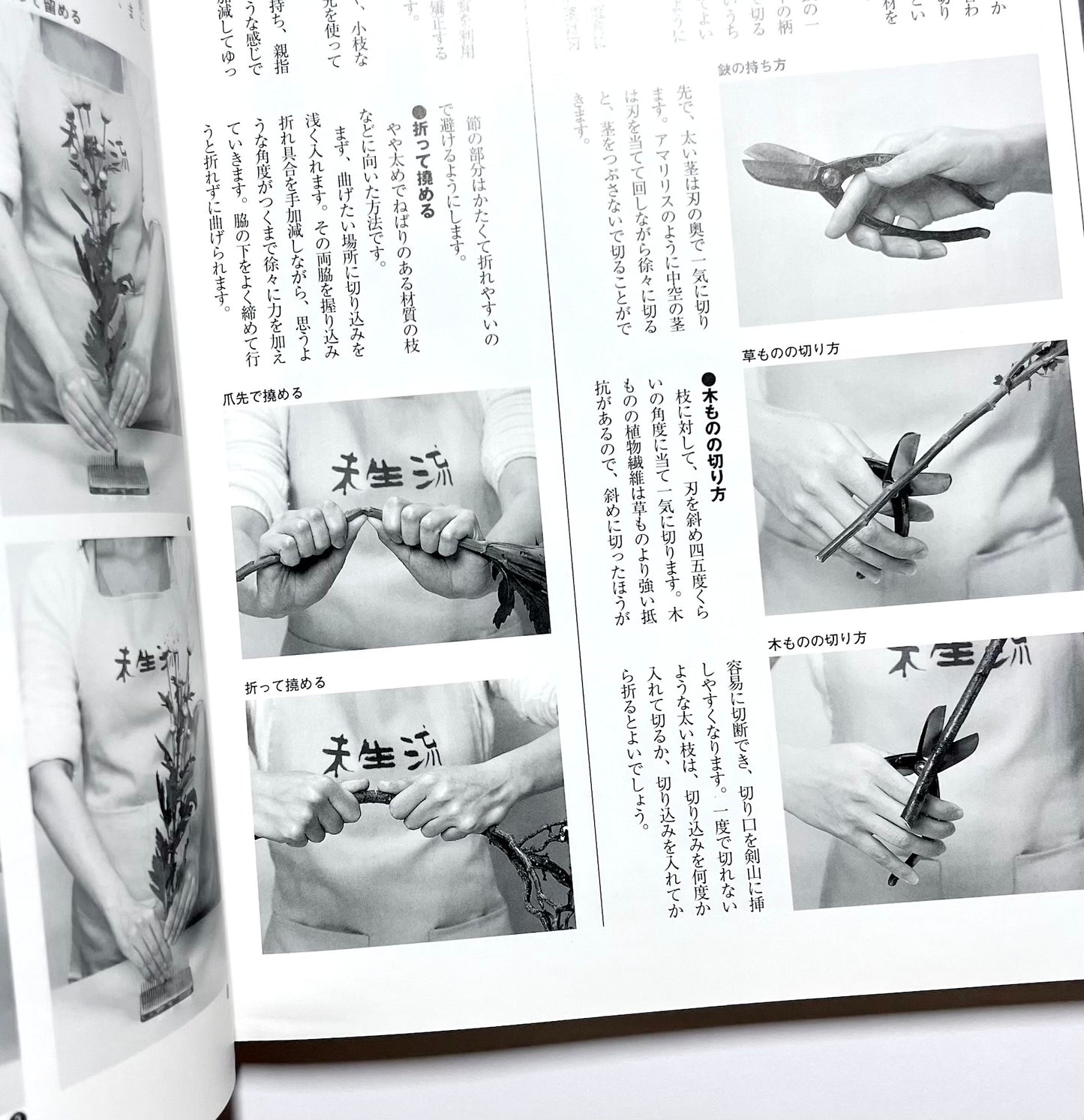 新編 未生流いけばな教本 (Misho School Ikebana Guide)