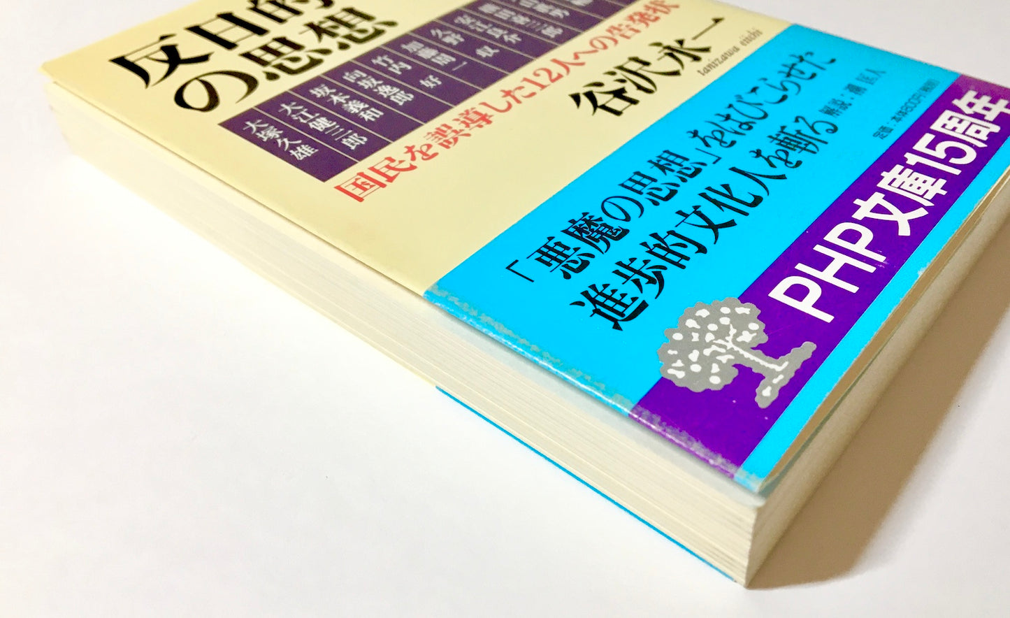 反日的日本人の思想―国民を誤導した12人への告発状