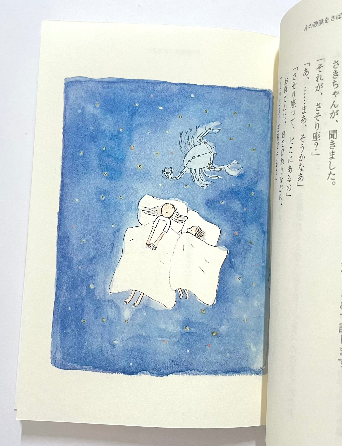 月の砂漠をさばさばと