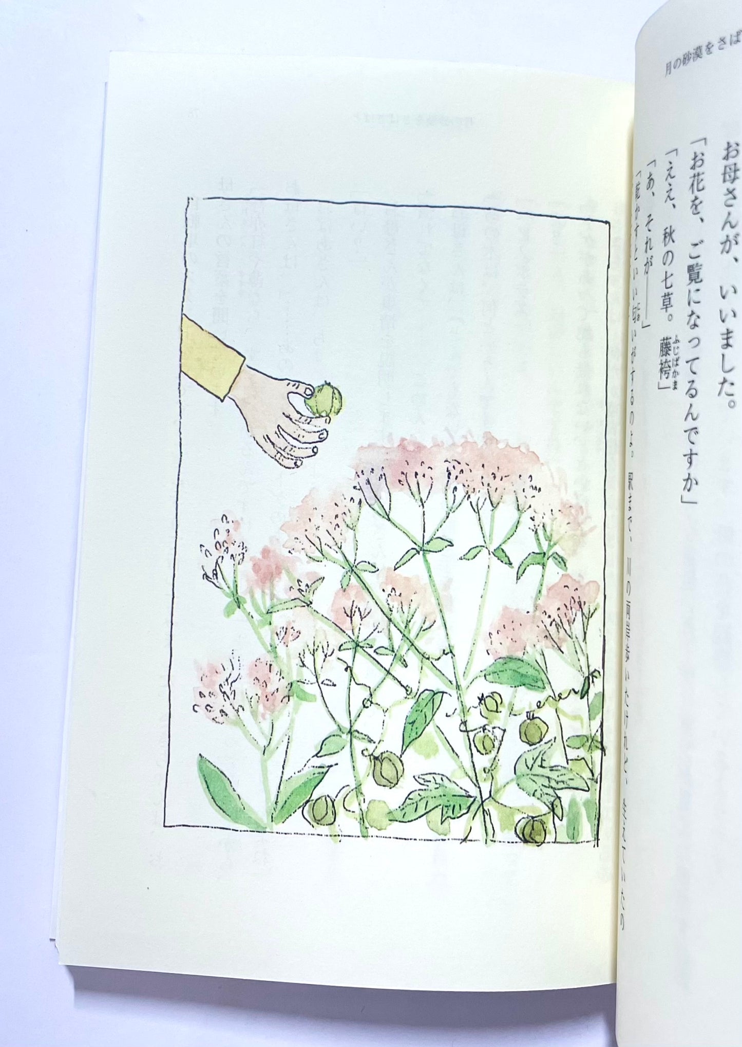 月の砂漠をさばさばと