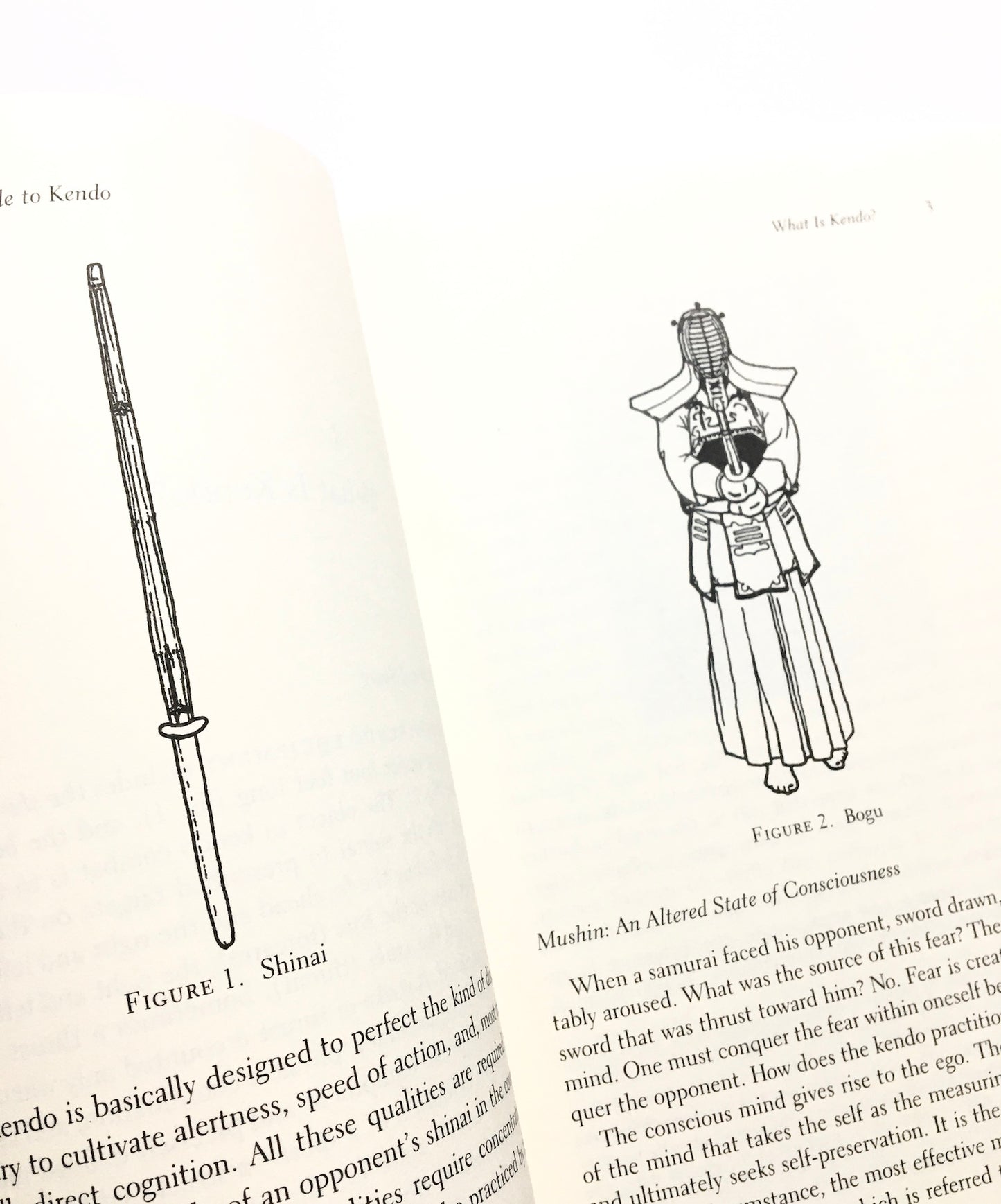 The Shambhala Guide to Kendo: An essential introduction to the principles and practice of the Japanese art of swordsmanship