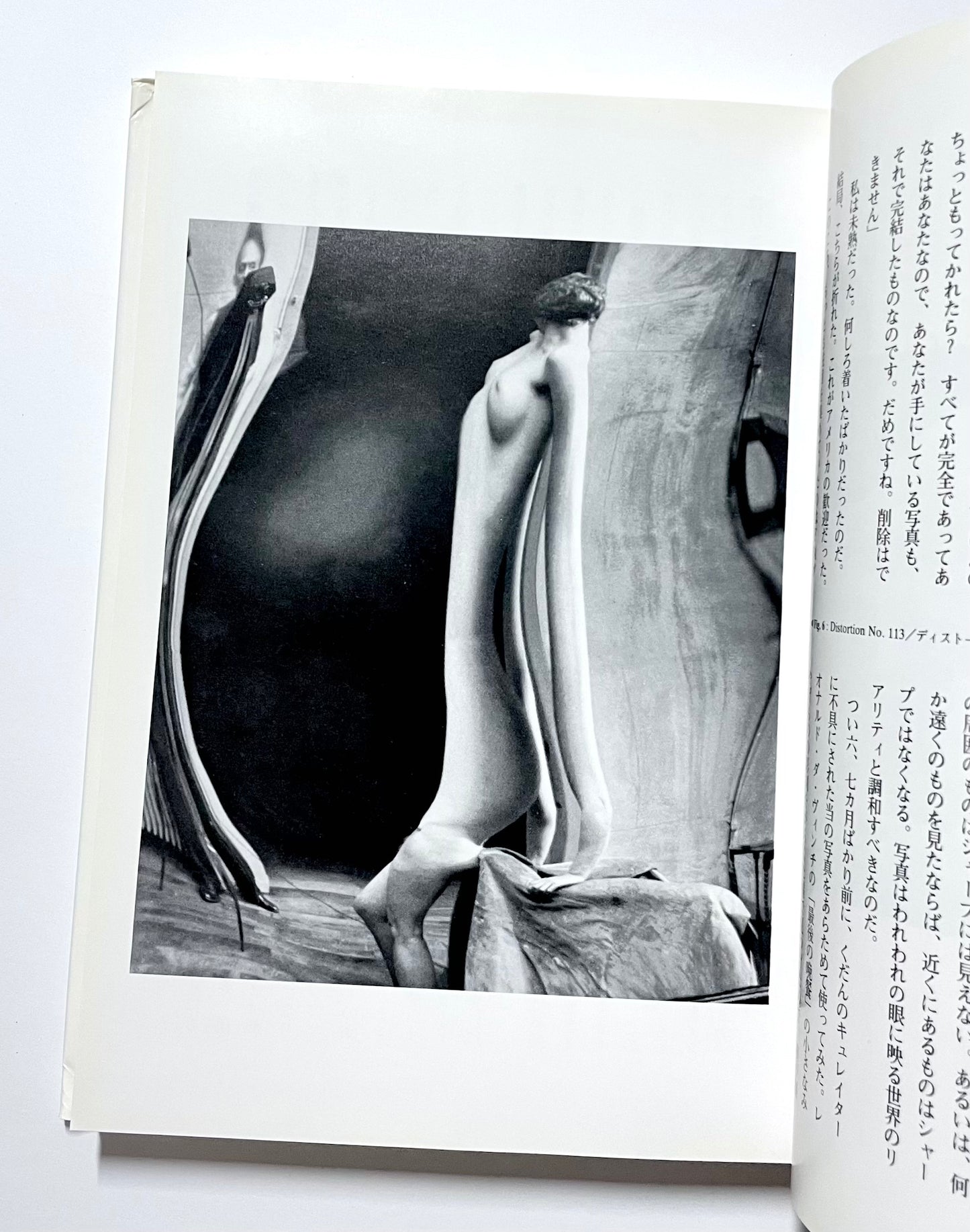 ヌードの理論