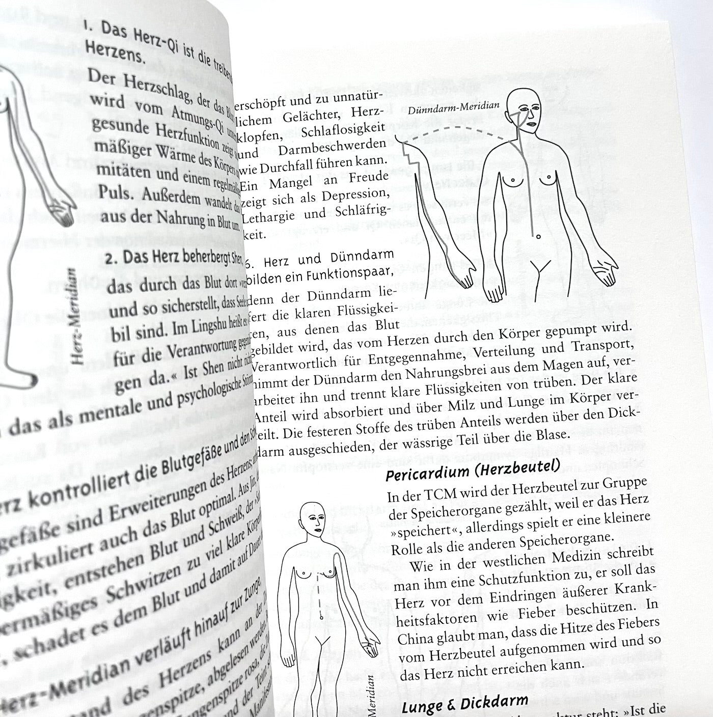 Das Leben pflegen: Die Grundlagen des Yangsheng