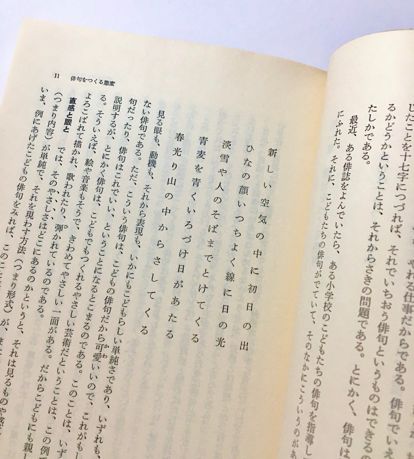 俳句入門　俳句のつくり方と鑑賞の手引き