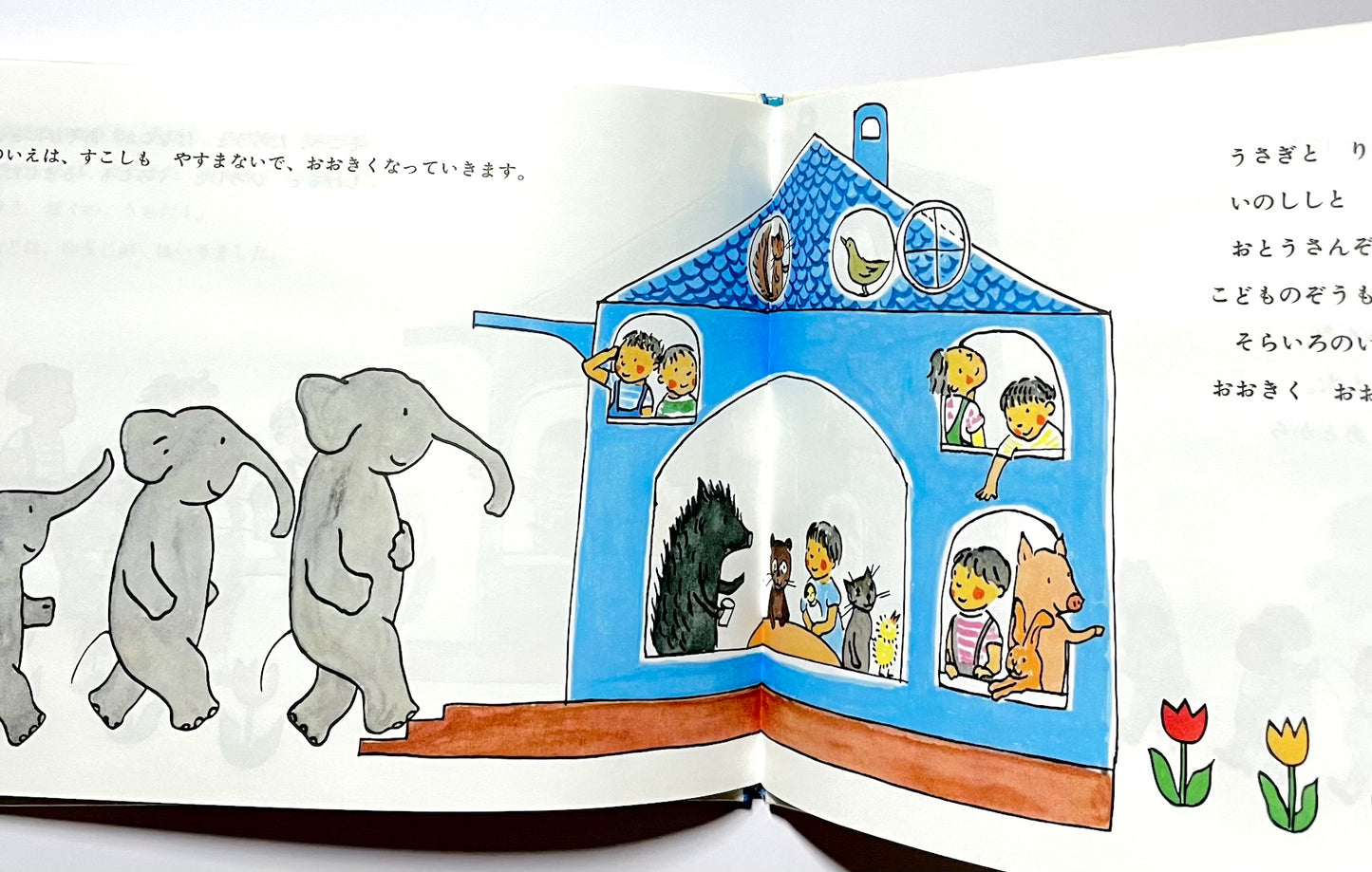 そらいろのたね