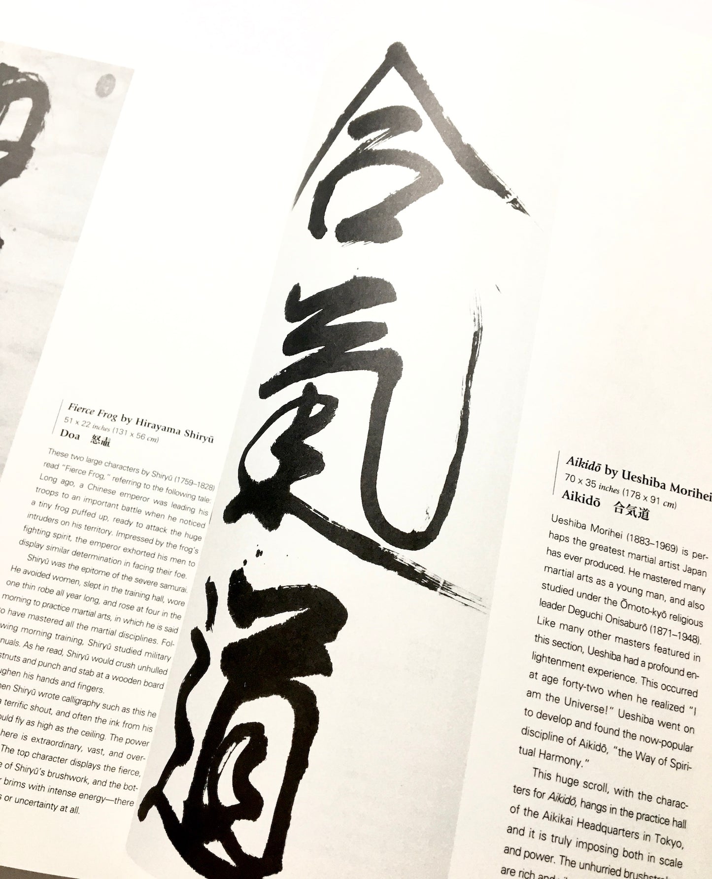 Zen Brushwork: Focusing the Mind with Calligraphy and Painting