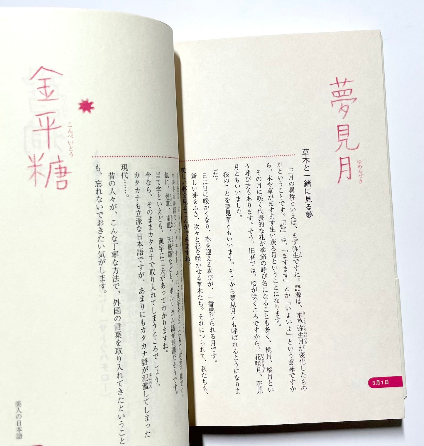 美人の日本語