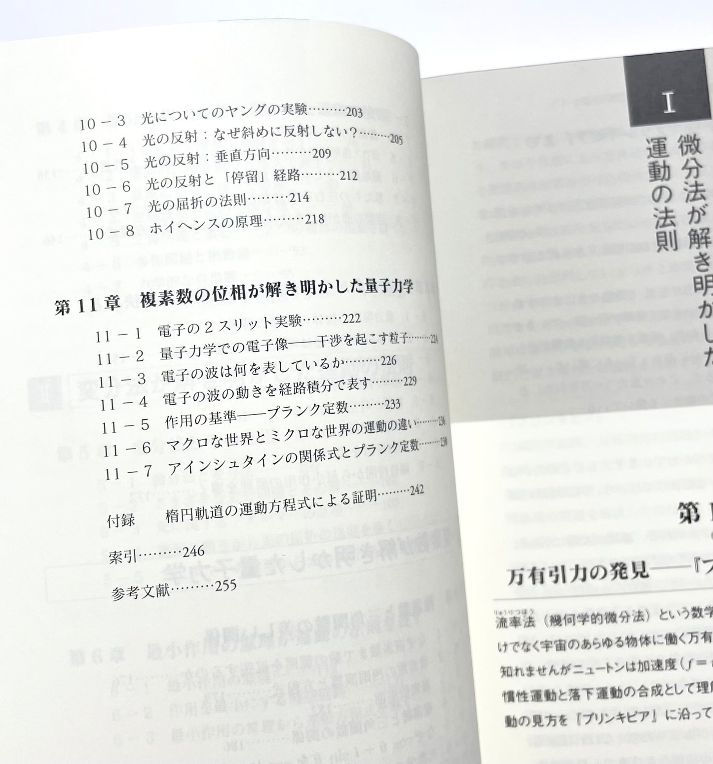 数学が解き明かした物理の法則―ニュートンの『プリンキピア』から量子力学まで　数学的着想と自然観の変遷