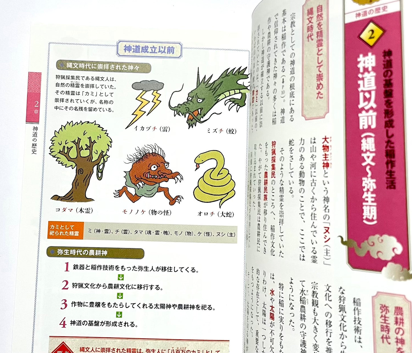 An Illustrated Beginner’s Guide to Shinto (カラー版 イチから知りたい! 神道の本)