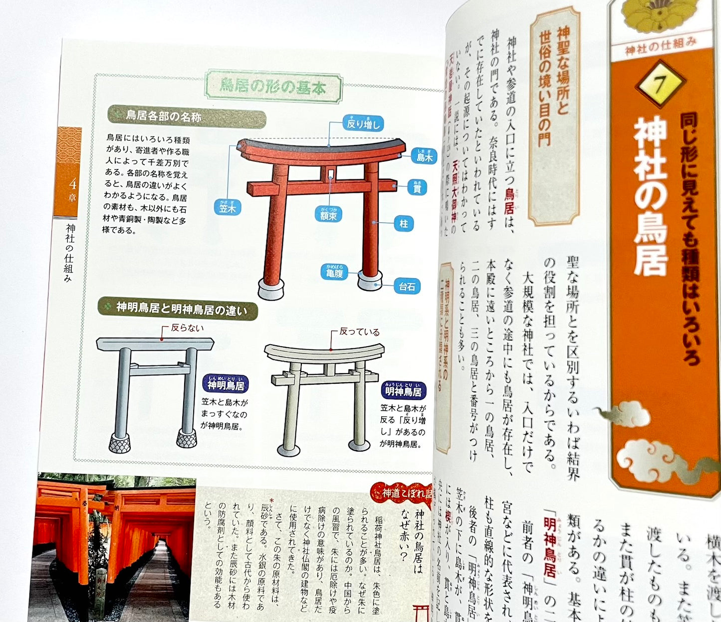 An Illustrated Beginner’s Guide to Shinto (カラー版 イチから知りたい! 神道の本)