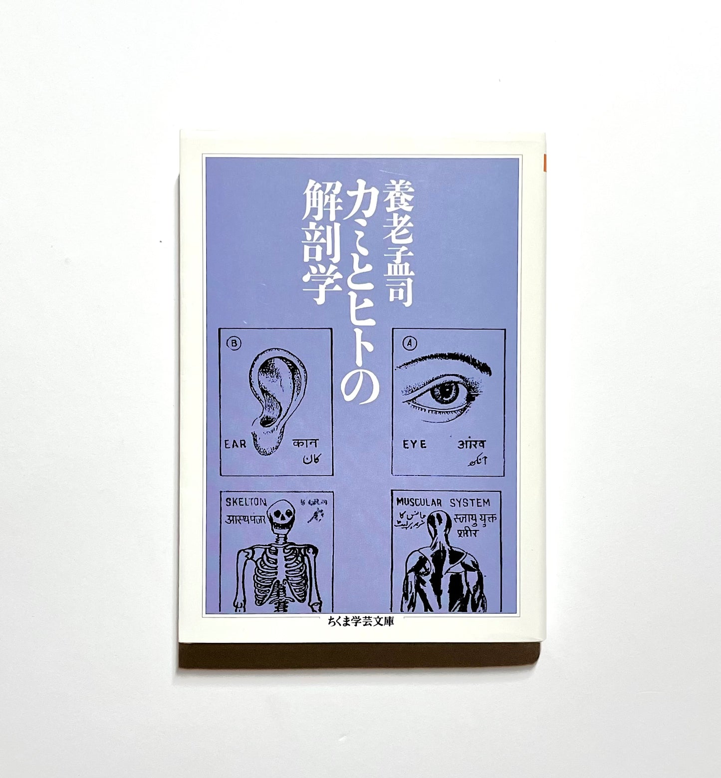 カミとヒトの解剖学