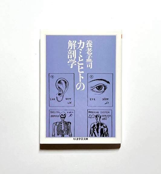 カミとヒトの解剖学