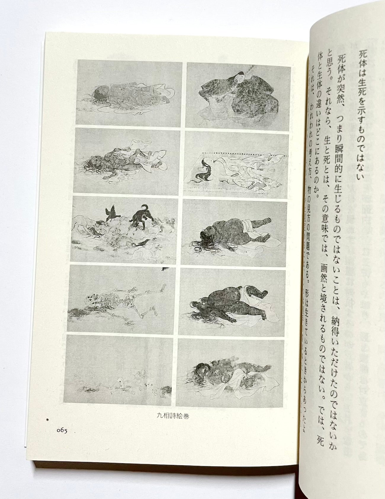 カミとヒトの解剖学