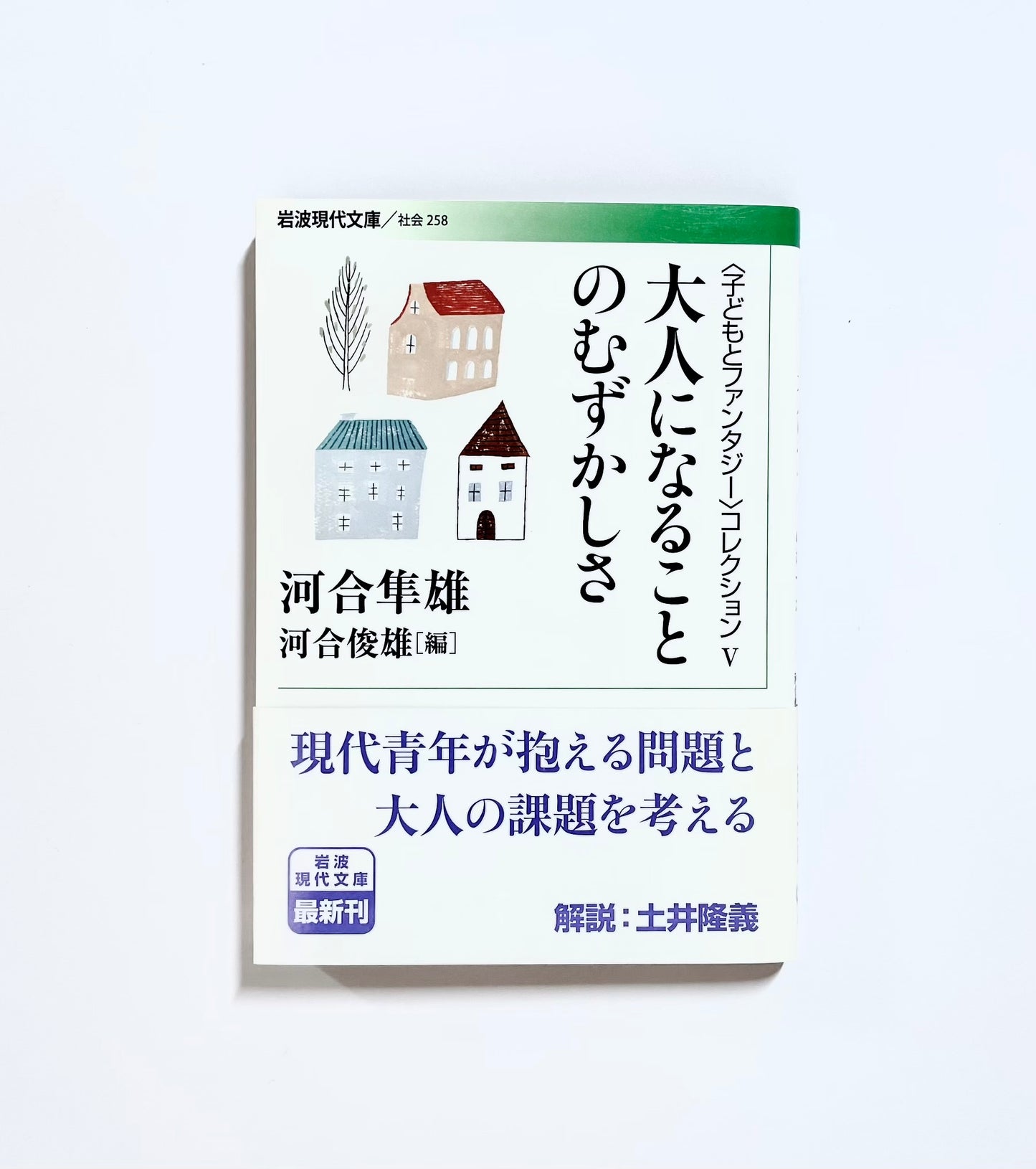大人になることのむずかしさ