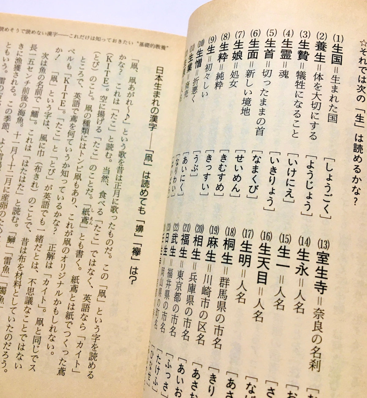 漢字に強くなる大事典―この一冊で、あなたも漢字博士!