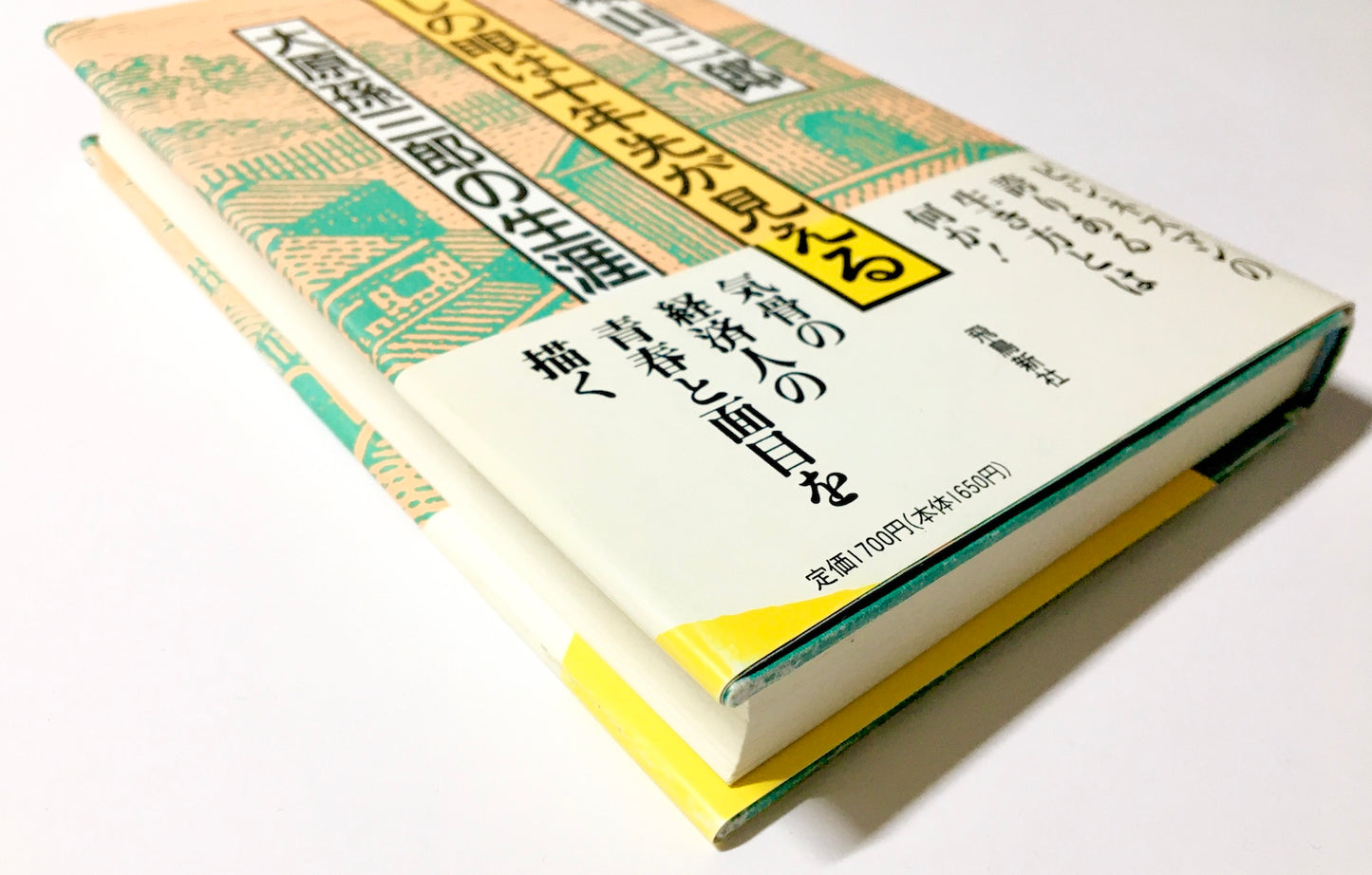 わしの眼は十年先が見える　大原孫三郎の生涯