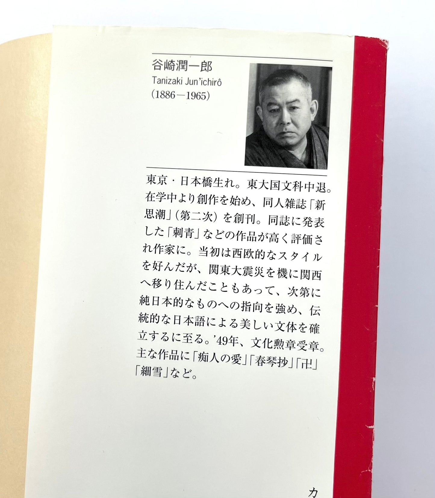 痴人の愛 / Naomi by Junichiro Tanizaki