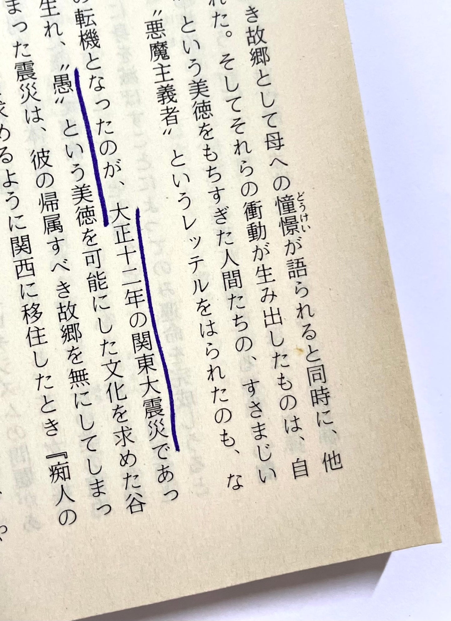 痴人の愛 / Naomi by Junichiro Tanizaki