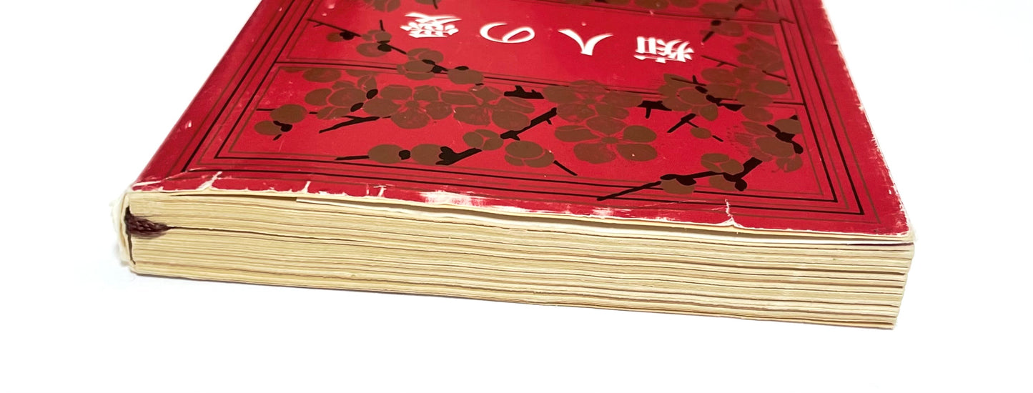 痴人の愛 / Naomi by Junichiro Tanizaki