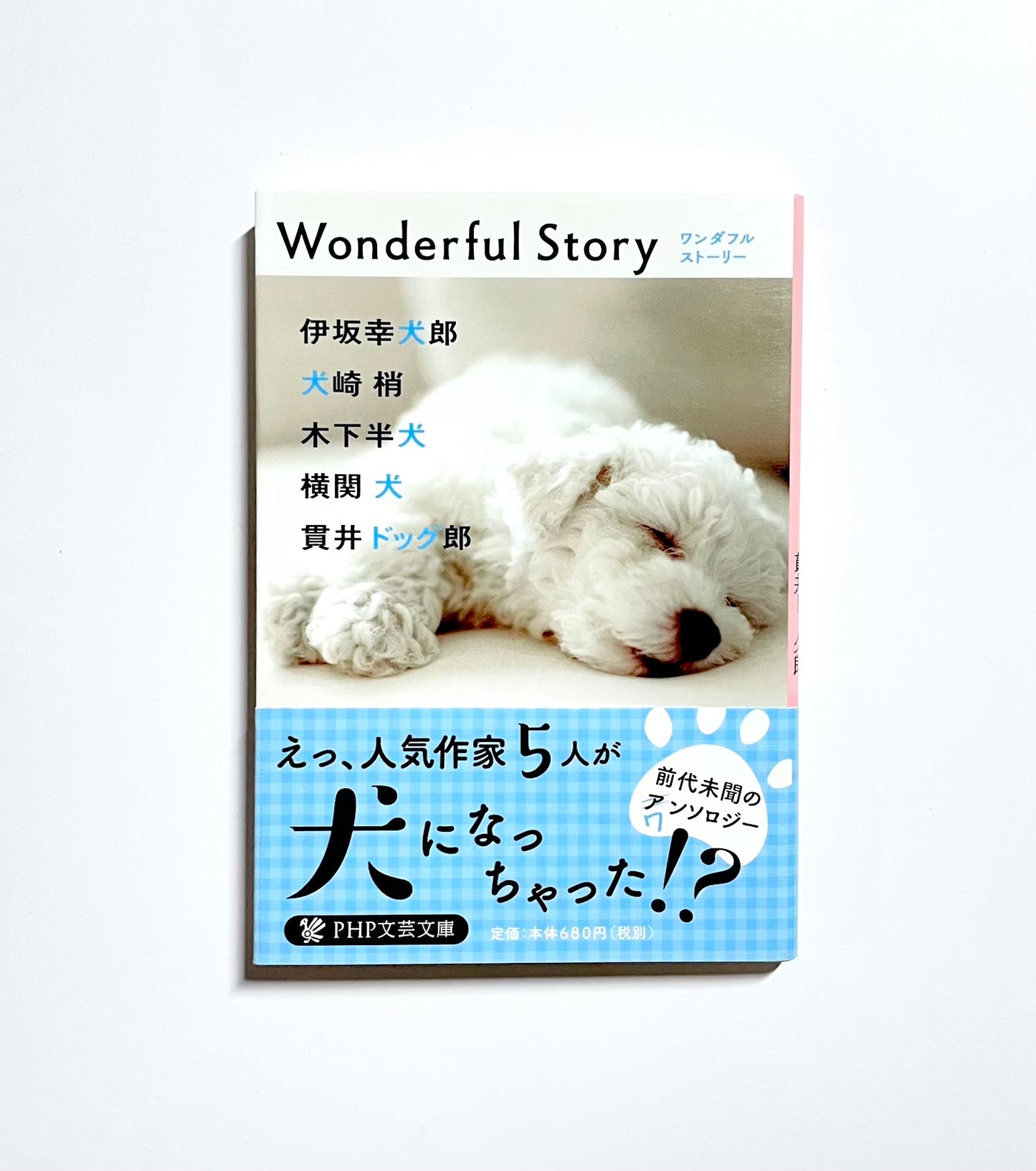 Wonderful Story (ワンダフルストーリー)