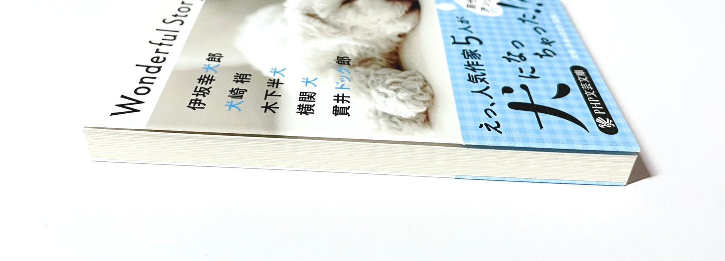Wonderful Story (ワンダフルストーリー)